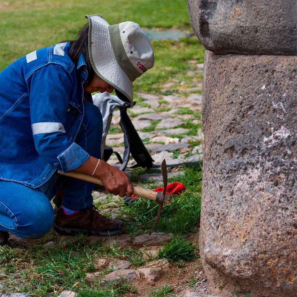 Preservação, Pesquisa e Difusão de Acervos Museológicos